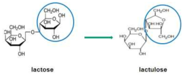 Latose epimerase를 이용한 lactulose의 전환