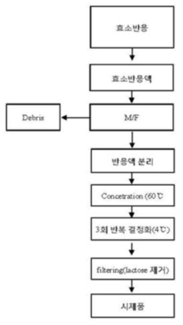 락툴로스의 결정화 공정