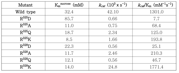 돌연변이 효소의 kinetic parameters (효소활성이 없는 clone제외)