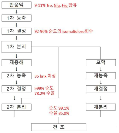 Isomaltulose 정제 공정 개요