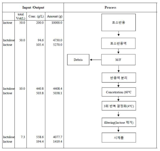 10 L 생물반응기를 이용한 반응액의 정제공정