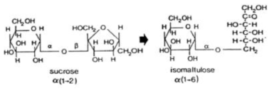 생물촉매를 이용한 설탕으로부터 이소말툴로스 전환