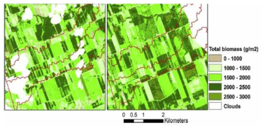 RapidEye 위성을 이용한 농지 바이오매스 추정(Kross et al., 2015)