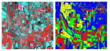 SPOT 5호기 영상을 이용한 작물분류 (Yang et al., 2011)