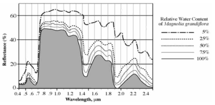 식생의 상대 수분함량에 따른 분광반사율 비교 (Jensen, 2007)