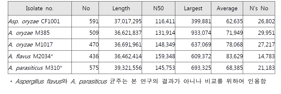 스캐폴드 정보(1차 염기서열 해독 균주)