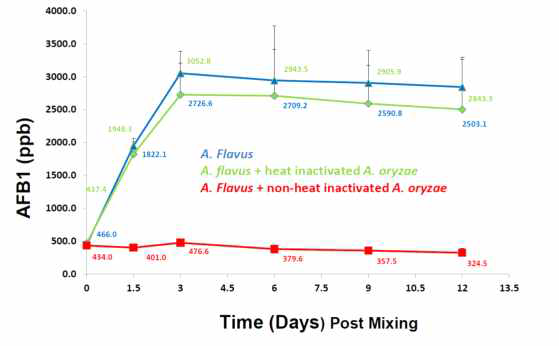 Aspergillus oryzae M2040의 A. flavus의 아플라톡신 생성 억제와 분해