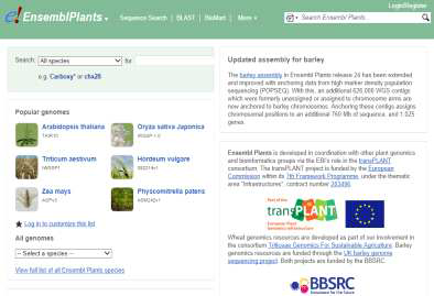 Plants Ensembl 유전체 포털(Hubbard et al. 2002)