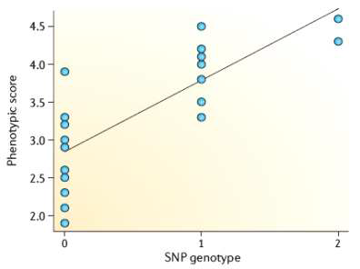 SNP genotype과 표현형 간의 연관 (Balding. 2006)