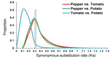 고추와 토마토 감자 사이의 Ks 값 분포 (Kim et al. 2014)