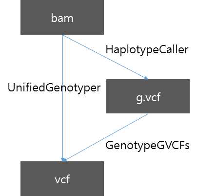 g.vcf를 이용한 샘플 별 variant calling. 이 방법을 이용하면 다양한 샘플 조합에 대한 variant calling을 빠른 시간에 수행할 수 있음