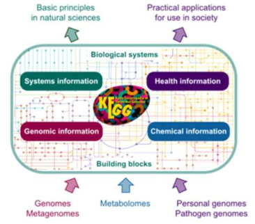 KEGG (Kyoto Encyclopedia of Genes and Genomes)