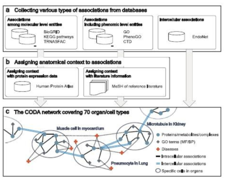 CODA 네트워크 구조 (출처: Yu et al. Scientific Reports, 2017)