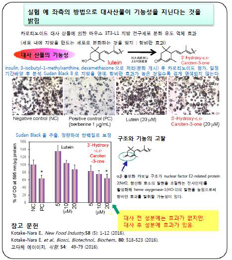 지용성 기능성분의 생체이용를에 관한 연구