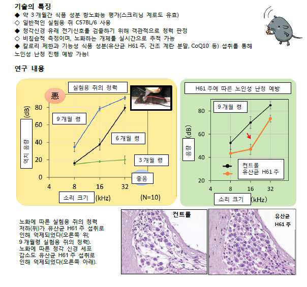 항노화 평가를 위한 노인성 난청 동물 모델 개발 및 예방효과 평가