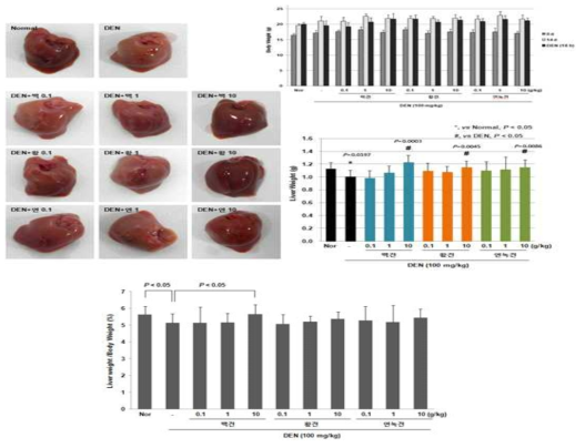 익힌 숙잠 품종별 DEN 투여 후 체중 및 간 무게 비교 결과