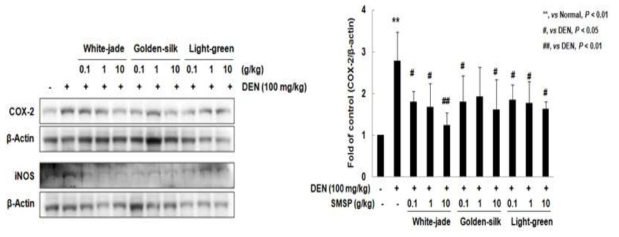 익힌 숙잠 품종별 DEN 투여 후 염증 효소 억제 결과