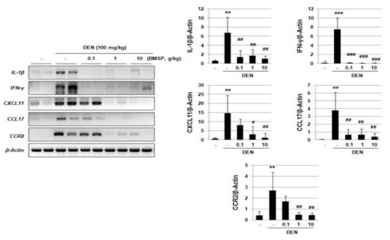 백옥잠 익힌 숙잠의 DEN 투여 후 T cell 활성화 억제 작용 기전