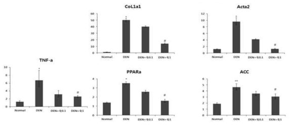 DEN 처리 16주 후 염증, 간대사 및 간 섬유증 관련인자들에 대한 익힌 숙잠의 효능