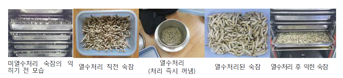 숙잠의 열수처리 및 증자 과정