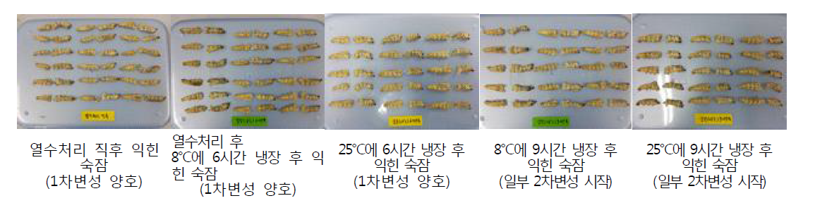 열수처리 후 증자 전 보관 시간 경과별 익힌 숙잠의 상태