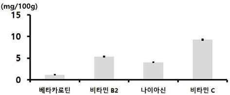 연녹잠 익힌 숙잠 미세분말(롤러밀 분쇄물)의 주요 비타민 함량