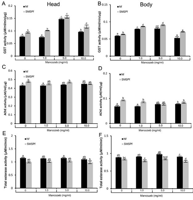 망코제브의 처리에 따른 GST와 Acetylcholinesterase의 활성 변화