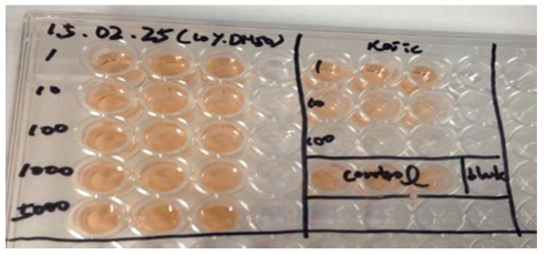 Tyrosinase 저해 활성 실험 결과(왼쪽 well들이 숙잠 시료 처리군)