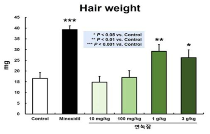 연녹잠 익힌 숙잠 시료의 용량별 발모 촉진 활성 양상(1차 시험)