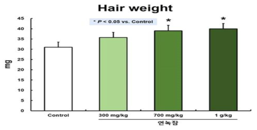 연녹잠 익힌 숙잠 시료의 용량별 발모 촉진 활성 양상(2차 시험)