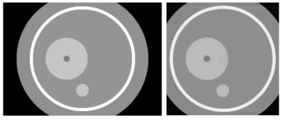 굴절율 차이의 가상 팬텀 (좌) 및 굴절차 X-선 CT 재구성 모사 시험