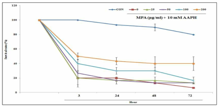 MPA의 AAPH에 대한 zebrafish 생존율