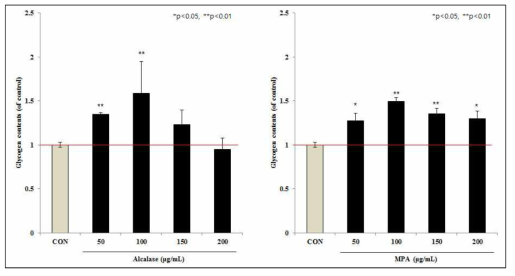 Alcalase 가수분해물과 MPA의 근세포 내 glycogen 함량 변화