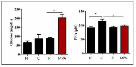 serum glucose 농도를 측정한 N: Normal (비운동군) C: Control (운동군), P: Positive control (운동 + taurine 0.5 mg/kg) MPA: 운동 + MPA