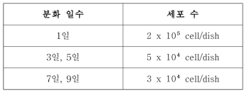 분화 일수에 따른 분주 된 세포 수