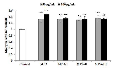 MPA 및 MPA의 분자량별 fraction의 근세포 내 glycogen 축적 효과