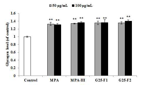 MPA-III의 G-25 fraction의 근세포 내 glycogen 축적 효과
