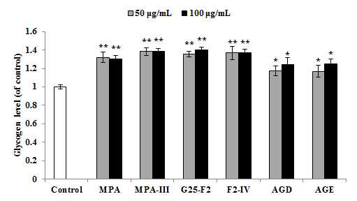 AGD 및 AGE의 근세포 내 glycogen 축적 효과
