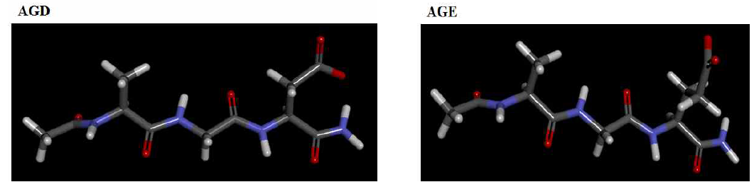 AGD와 AGE structure