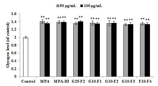 MPA-III의 G-10 fraction의 근세포 내 glycogen 축적 효과