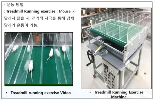 Treadmill Running Exercise Machine