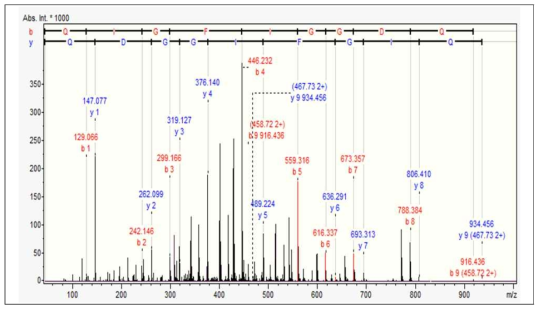 P3(QIGFIGGDQ) 펩타이드의 Q-TOF MS 시퀀스 데이터