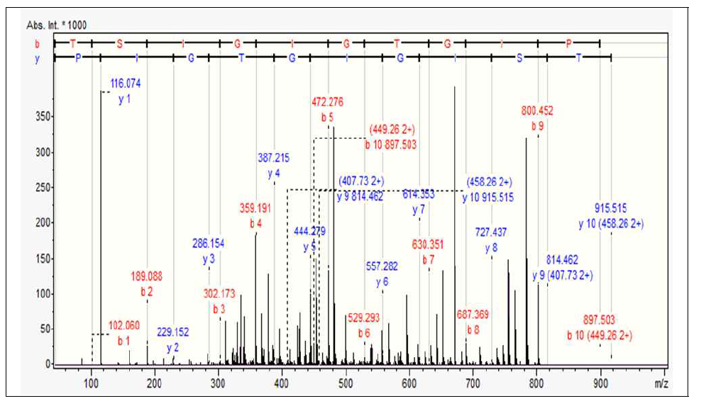 P8(TSIGIGTGIP) 펩타이드의 Q-TOF MS 시퀀스 데이터