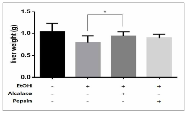 만성 알코올성 간 손상을 유도한 쥐의 간 무게 (*p<0.05 vs. EtOH)