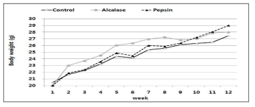 해마단백질 유래 효소가수분해물 투여에 의한 male mouse 체중 변화