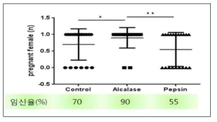 해마단백질 유래 효소가수분해물 투여 수컷 마우스와 교미 후 암컷마우스의 임신 (1) 및 비임신 마우스(0) 조사결과