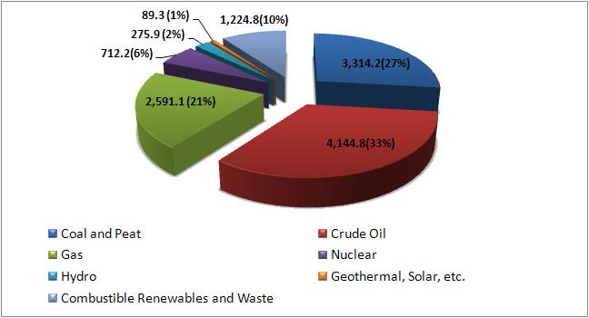 세계 1차 에너지 공급 현황1)(백만 toe, %)