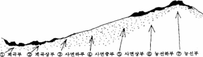 식재종의 생태적 특성(ecological perfomiance)에 따른 식재 위치의 구분