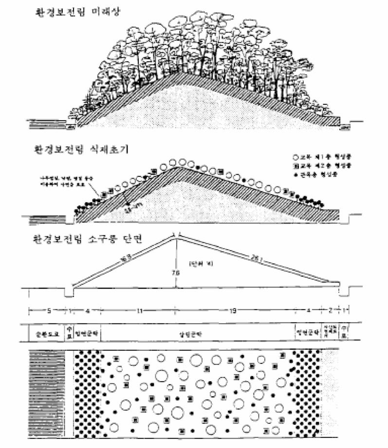 환경보전림 조성에 있어서 식재종의 배치, 사면 구배 등에 대한 실례(김,1993-b)