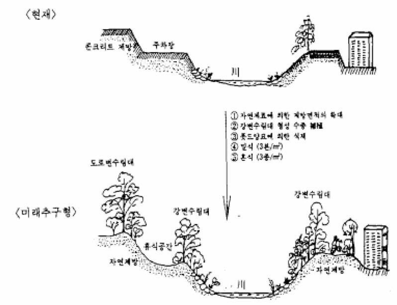 녹지맥 형성의 사례(한강 고수부지)